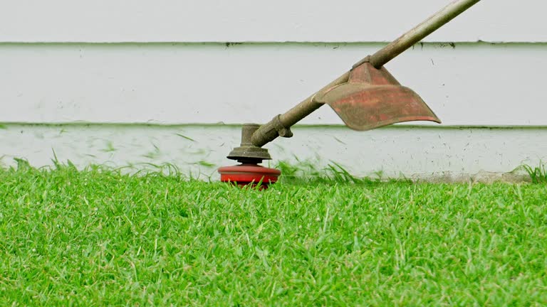 Lawn Maintenance Plans in Coburg, OR